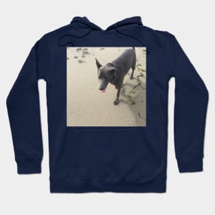 happy doggo Hoodie